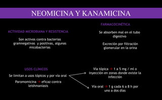 ACTIVIDAD MICROBIANA Y RESISTENCIA
Son activos contra bacterias
gramnegativas y positivas, algunas
micobacterias
FARMACOCINÉTICA
Se absorben mal en el tubo
digestivo
Excreción por filtración
glomerular en la orina
USOS CLÍNICOS
Se limitan a usos tópicos y por vía oral
Paromomicina  eficaz contra
leishmaniasis
Vía tópica  1 a 5 mg / ml o
inyección en zonas donde existe la
infección
Vía oral  1 g cada 6 a 8 h por
uno a dos días
NEOMICINA Y KANAMICINA
 