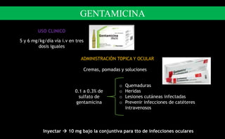 USO CLINICO
5 y 6 mg/kg/día vía i.v en tres
dosis iguales
ADMINISTRACIÓN TOPICA Y OCULAR
Cremas, pomadas y soluciones
0.1 a 0.3% de
sulfato de
gentamicina
o Quemaduras
o Heridas
o Lesiones cutáneas infectadas
o Prevenir infecciones de catéteres
intravenosos
Inyectar  10 mg bajo la conjuntiva para tto de infecciones oculares
GENTAMICINA
 