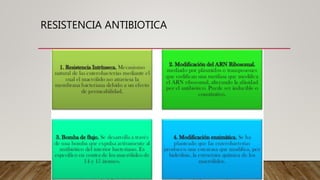 RESISTENCIA ANTIBIOTICA
 