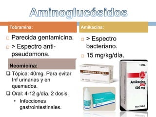 Tobramina:                 Amikacina:

   Parecida gentamicina.         > Espectro
   > Espectro anti-               bacteriano.
    pseudomona.                   15 mg/kg/día.
 Neomicina:                       Infecciones
 Tópica: 40mg. Para evitar        nosocomiales.
  Inf urinarias y en
  quemados.
 Oral: 4-12 g/día. 2 dosis.
   • Infecciones
      gastrointestinales.
 