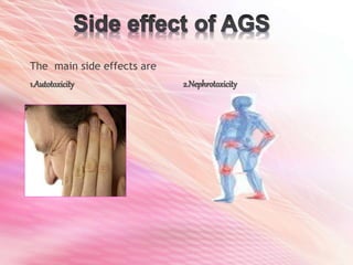 The main side effects are
1.Autotoxicity 2.Nephrotoxicity
 