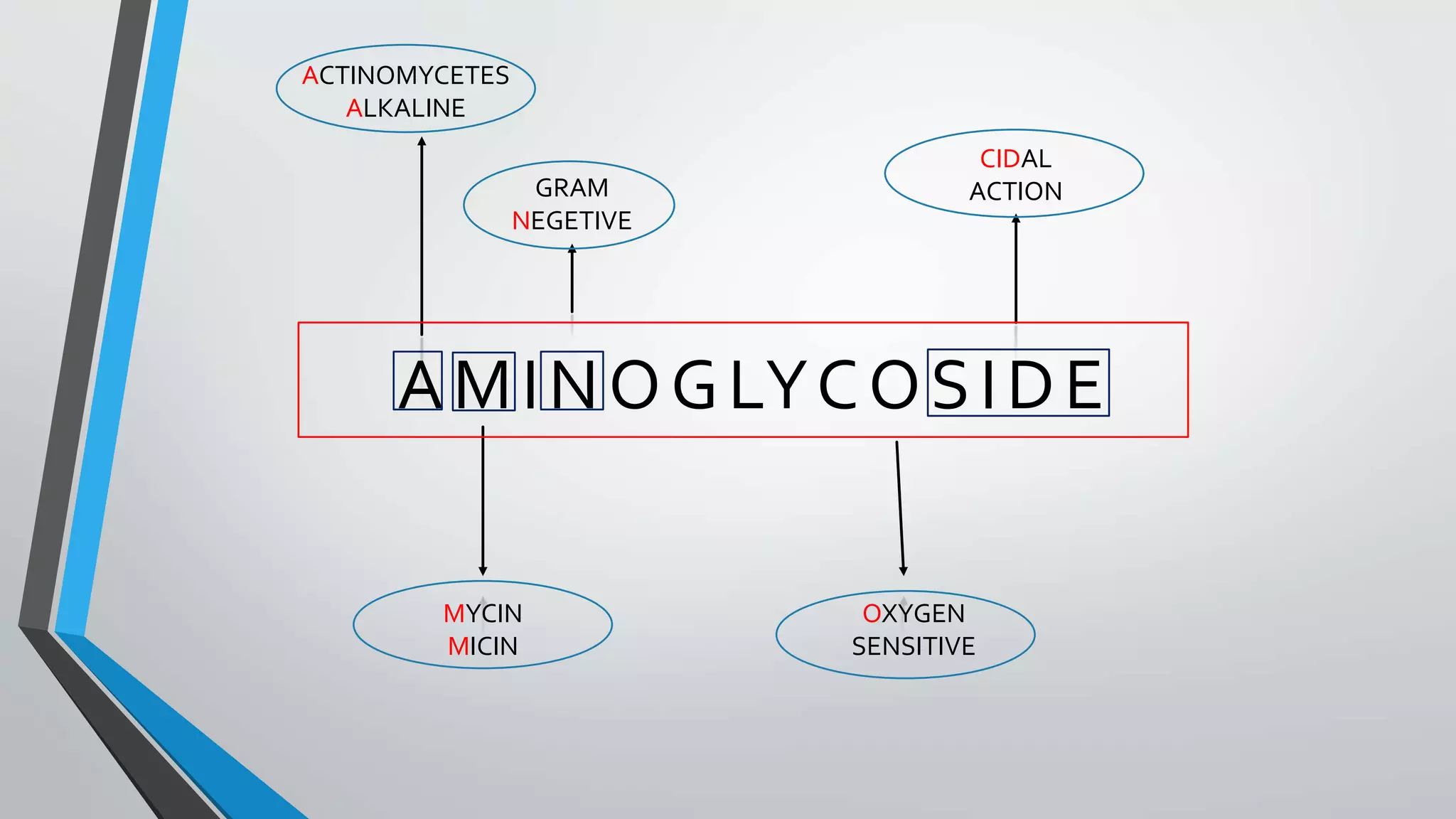 Aminoglycoside | PPT