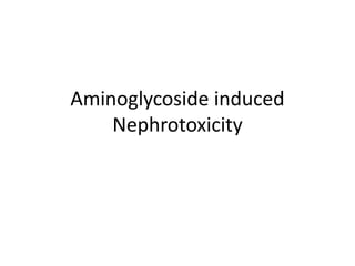 Aminoglycoside induced
Nephrotoxicity
 