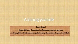 Aminoglycoside
• Bactericidal
• Against Gram(–) aerobes i.e. Pseudomonas aeruginosa
• Synergistic with β-lactams against many Gram(+) pathogens i.e. E.Coli
 