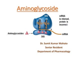 Aminoglycoside
Dr. Sumit Kumar Mahato
Senior Resident
Department of Pharmacology
 