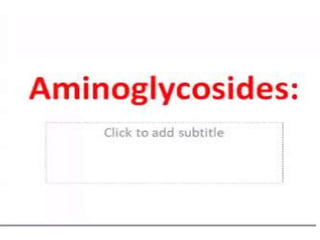 Aminoglycoside pharma 202 