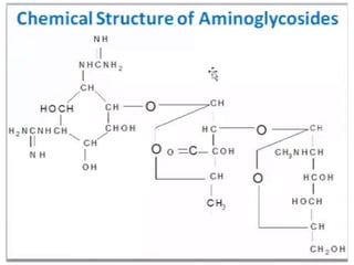 Aminoglycoside pharma 202 