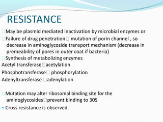 RESISTANCE
May be plasmid mediated inactivation by microbial enzymes or
Failure of drug penetration mutation of porin channel , so
decrease in aminoglycoside transport mechanism (decrease in
premeability of pores in outer coat if bacteria)
Synthesis of metabolizing enzymes
Acetyl transferase acetylation
Phosphotransferase phosphorylation
Adenyltransferase adenylation
Mutation may alter ribosomal binding site for the
aminoglycosides prevent binding to 30S
• Cross resistance is observed.
 