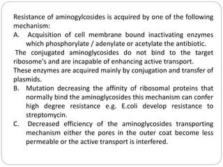 Resistance of aminogylcosides is acquired by one of the following
mechanism:
A. Acquisition of cell membrane bound inactivating enzymes
which phosphorylate / adenylate or acetylate the antibiotic.
The conjugated aminoglycosides do not bind to the target
ribosome's and are incapable of enhancing active transport.
These enzymes are acquired mainly by conjugation and transfer of
plasmids.
B. Mutation decreasing the affinity of ribosomal proteins that
normally bind the aminoglycosides this mechanism can confer
high degree resistance e.g. E.coli develop resistance to
streptomycin.
C. Decreased efficiency of the aminoglycosides transporting
mechanism either the pores in the outer coat become less
permeable or the active transport is interfered.
 