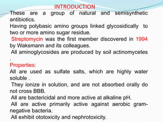 INTRODUCTION
These are a group of natural and semisynthetic
antibiotics.
Having polybasic amino groups linked glycosidically to
two or more amino sugar residue.
Streptomycin was the first member discovered in 1994
by Waksmann and its colleagues.
All aminoglycosides are produced by soil actinomycetes
.
Properties:
All are used as sulfate salts, which are highly water
soluble .
They ionize in solution, and are not absorbed orally do
not cross BBB.
All are bactericidal and more active at alkaline pH.
All are active primarily active against aerobic gram-
negative bacteria.
All exhibit ototoxicity and nephrotoxicity.
 