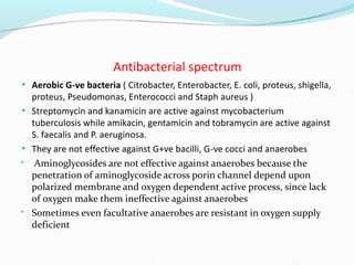 Antibacterial spectrum
• Aerobic G-ve bacteria ( Citrobacter, Enterobacter, E. coli, proteus, shigella,
proteus, Pseudomonas, Enterococci and Staph aureus )
• Streptomycin and kanamicin are active against mycobacterium
tuberculosis while amikacin, gentamicin and tobramycin are active against
S. faecalis and P. aeruginosa.
• They are not effective against G+ve bacilli, G-ve cocci and anaerobes
• Aminoglycosides are not effective against anaerobes because the
penetration of aminoglycoside across porin channel depend upon
polarized membrane and oxygen dependent active process, since lack
of oxygen make them ineffective against anaerobes
• Sometimes even facultative anaerobes are resistant in oxygen supply
deficient
 