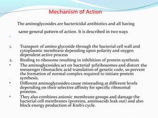 Mechanism of Action
•
The aminoglycosides are bactericidal antibiotics and all having
same general pattern of action. It is described in two ways
1. Transport of amino glycoside through the bacterial cell wall and
cytoplasmic membrane depending upon polarity and oxygen
dependent active process
Binding to ribosome resulting in inhibition of protein synthesis
The aminoglycosides act on bacterial 30Sribosomes and distort
2.
• the
messenger ribonucleic acid translation of genetic code, so prevent
the formation of normal complex required to initiate protein
synthesis.
Different aminoglycosides cause misreading at different levels
•
depending on their selective affinity for specific ribosomal
proteins.
They also combines anionic
• membrane groups and damage the
bacterial cell membranes (proteins, aminoacids leak out) and also
block energy production of Kreb’s cycle.
 