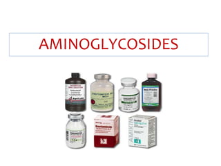 AMINOGLYCOSIDES
 