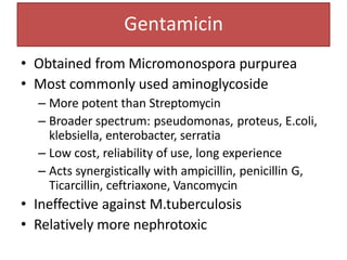 Gentamicin
• Obtained from Micromonospora purpurea
• Most commonly used aminoglycoside
– More potent than Streptomycin
– Broader spectrum: pseudomonas, proteus, E.coli,
klebsiella, enterobacter, serratia
– Low cost, reliability of use, long experience
– Acts synergistically with ampicillin, penicillin G,
Ticarcillin, ceftriaxone, Vancomycin
• Ineffective against M.tuberculosis
• Relatively more nephrotoxic
 