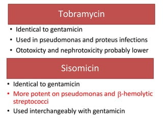 Tobramycin
• Identical to gentamicin
• Used in pseudomonas and proteus infections
• Ototoxicty and nephrotoxicity probably lower
Sisomicin
• Identical to gentamicin
• More potent on pseudomonas and
streptococci
-hemolytic
• Used interchangeably with gentamicin
 