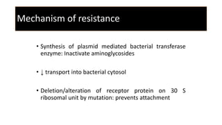 Mechanism of resistance
• Synthesis of plasmid mediated bacterial transferase
enzyme: Inactivate aminoglycosides
• ↓ transport into bacterial cytosol
• Deletion/alteration of receptor protein on 30 S
ribosomal unit by mutation: prevents attachment
 