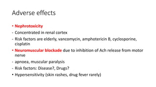 Adverse effects
• Nephrotoxicity
- Concentrated in renal cortex
- Risk factors are elderly, vancomycin, amphotericin B, cyclosporine,
cisplatin
• Neuromuscular blockade due to inhibition of Ach release from motor
nerve
- apnoea, muscular paralysis
- Risk factors: Disease?, Drugs?
• Hypersensitivity (skin rashes, drug fever rarely)
 