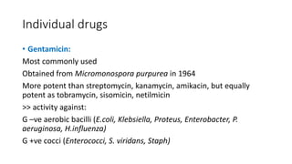Individual drugs
• Gentamicin:
Most commonly used
Obtained from Micromonospora purpurea in 1964
More potent than streptomycin, kanamycin, amikacin, but equally
potent as tobramycin, sisomicin, netilmicin
>> activity against:
G –ve aerobic bacilli (E.coli, Klebsiella, Proteus, Enterobacter, P.
aeruginosa, H.influenza)
G +ve cocci (Enterococci, S. viridans, Staph)
 