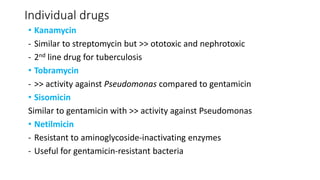 Individual drugs
• Kanamycin
- Similar to streptomycin but >> ototoxic and nephrotoxic
- 2nd line drug for tuberculosis
• Tobramycin
- >> activity against Pseudomonas compared to gentamicin
• Sisomicin
Similar to gentamicin with >> activity against Pseudomonas
• Netilmicin
- Resistant to aminoglycoside-inactivating enzymes
- Useful for gentamicin-resistant bacteria
 