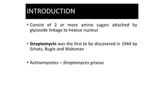 INTRODUCTION
• Consist of 2 or more amino sugars attached by
glycoside linkage to hexose nucleus
• Streptomycin was the first to be discovered in 1944 by
Schatz, Bugie and Waksman
• Actinomycetes – Streptomyces griseus
 