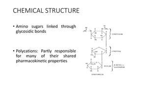 CHEMICAL STRUCTURE
• Amino sugars linked through
glycosidic bonds
• Polycations: Partly responsible
for many of their shared
pharmacokinetic properties
 
