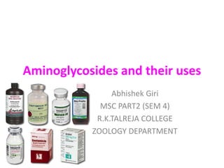 Aminoglycosides and their uses
Abhishek Giri
MSC PART2 (SEM 4)
R.K.TALREJA COLLEGE
ZOOLOGY DEPARTMENT
 