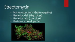 Streptomycin
• Narrow spectrum (Gram negative)
• Bacteriocidal (High dose)
• Bacteriostatic (Low dose)
• Resistance develops fast
 