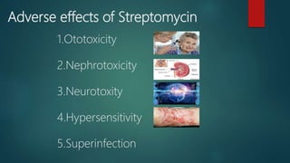 Adverse effects of Streptomycin
1.Ototoxicity
2.Nephrotoxicity
3.Neurotoxity
4.Hypersensitivity
5.Superinfection
 