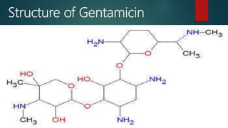 Structure of Gentamicin
 