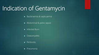 Indication of Gentamycin
 Bacteraemia & septicaemia
 Abdominal & pelvic sepsis
 Infected Burn
 Osteomyelitis
 Peritonitis
 Pneumonia
 