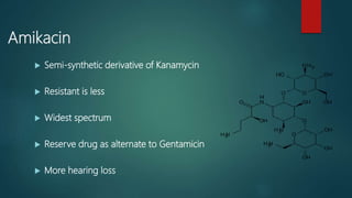 Amikacin
 Semi-synthetic derivative of Kanamycin
 Resistant is less
 Widest spectrum
 Reserve drug as alternate to Gentamicin
 More hearing loss
 