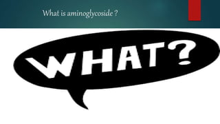 What is aminoglycoside ?
 