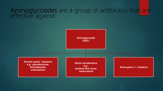 Aminoglycosides are a group of antibiotics that are
effective against:
Aminoglycoside
(AGL)
Aerobic gram( - )bacteria
e.g.: pseudomonas,
Acinetobacter,
enterobacter
Some mycobacteria
e.g.:
bacteria that cause
tuberculosis
Some gram ( + ) bacteria
 