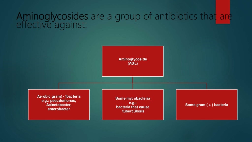 Aminoglycosides Antibiotic