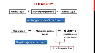 Aminoglycosides | PPTX