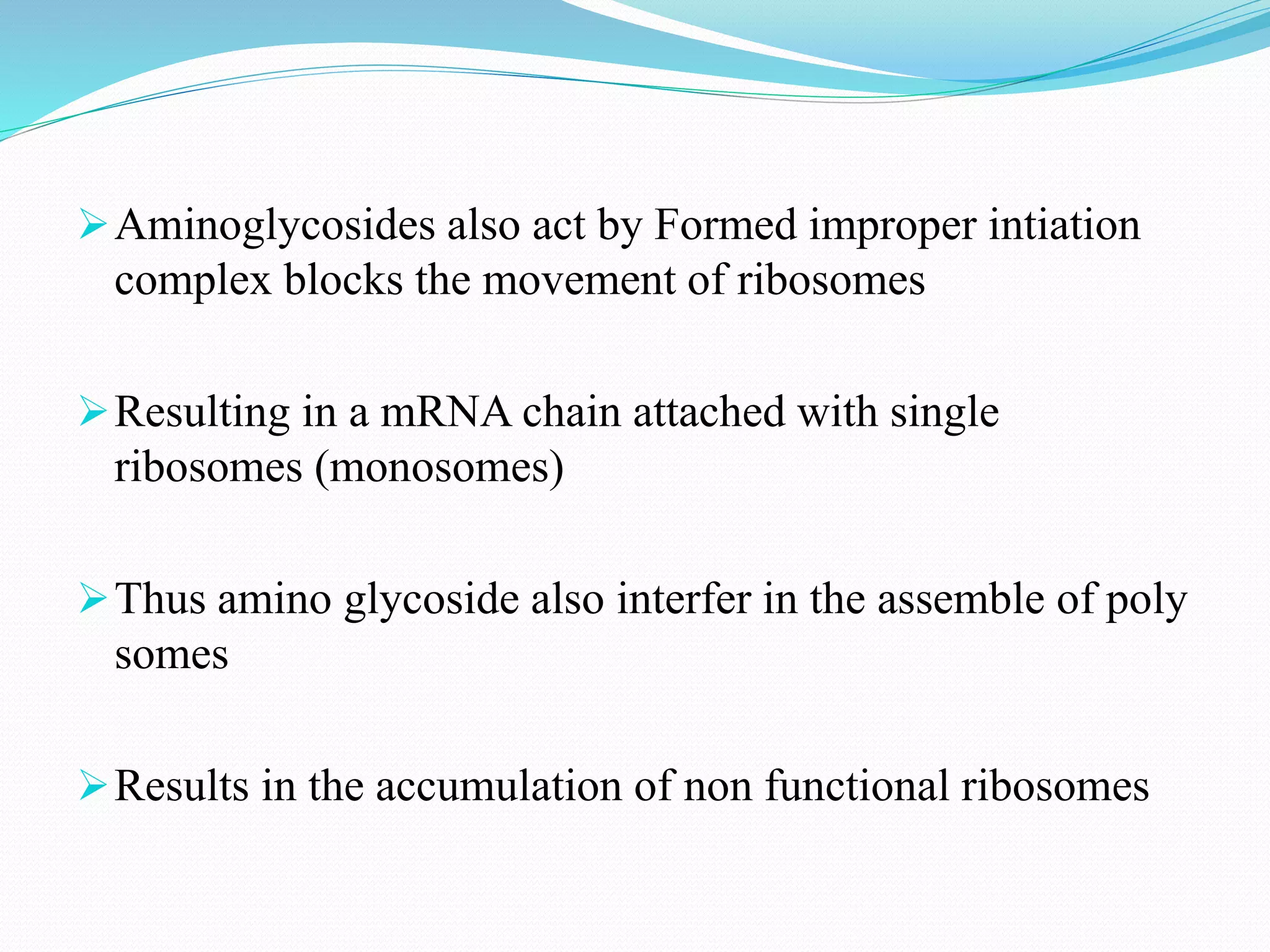 Aminoglycosides | PPT