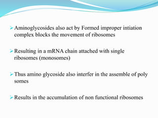 Aminoglycosides also act by Formed improper intiation
complex blocks the movement of ribosomes
Resulting in a mRNA chain attached with single
ribosomes (monosomes)
Thus amino glycoside also interfer in the assemble of poly
somes
Results in the accumulation of non functional ribosomes
 