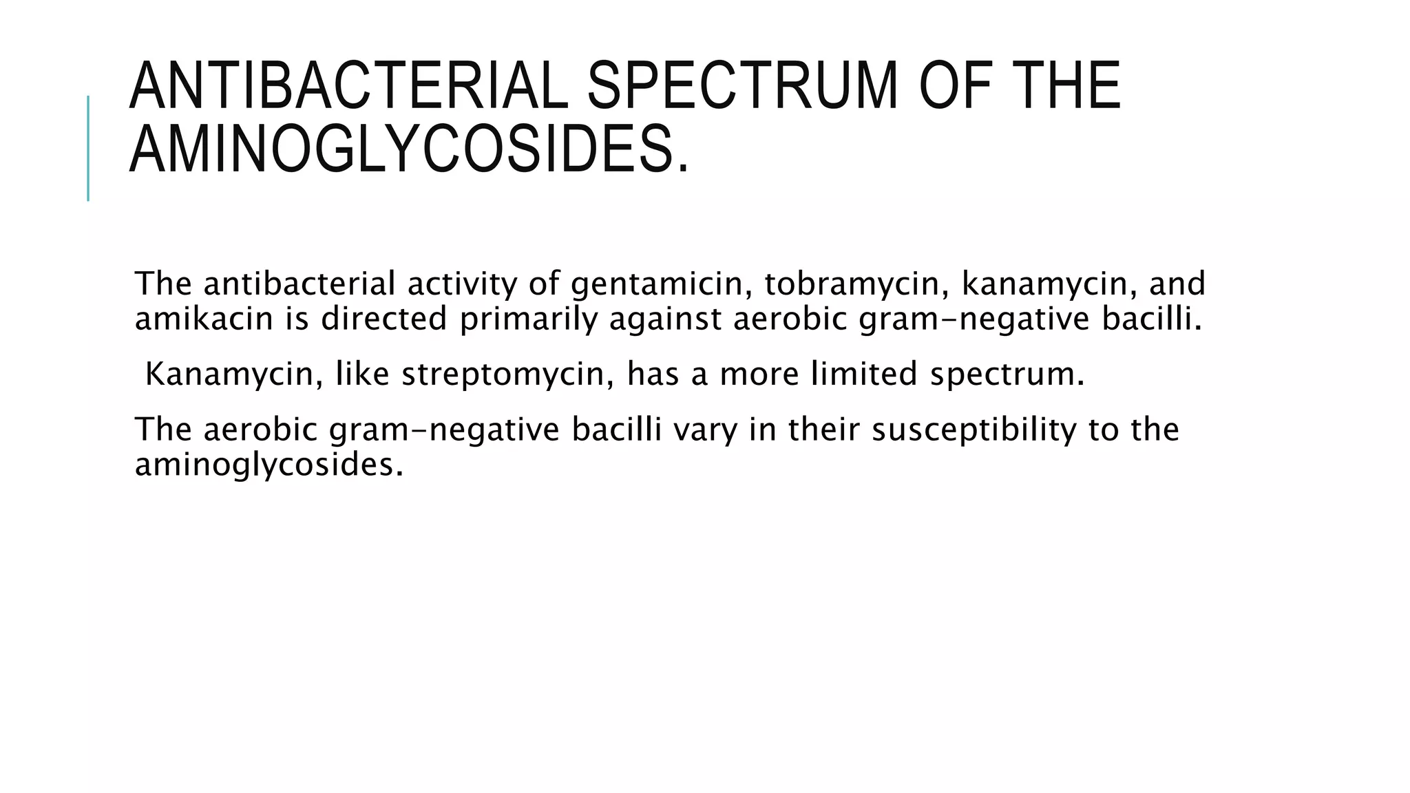 Aminoglycosides (2).pptx