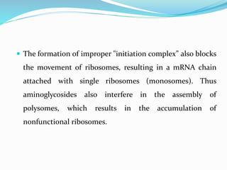  The formation of improper "initiation complex” also blocks
the movement of ribosomes, resulting in a mRNA chain
attached with single ribosomes (monosomes). Thus
aminoglycosides also interfere in the assembly of
polysomes, which results in the accumulation of
nonfunctional ribosomes.
 