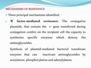 MECHANISMS OF RESISTANCE:
 Three principal mechanisms identified:
1. ‘R’ factor-mediated resistance: The conjugative
plasmids, that contain the r- gene transferred during
conjugation confers on the recipient cell the capacity to
synthesize specific enzymes which destroy the
aminoglycosides.
Synthesis of plasmid-mediated bacterial transferase
enzymes that can inactivate aminoglycosides by
acetylation, phosphorylation and adenylylation.
 