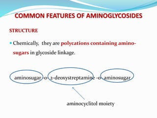 COMMON FEATURES OF AMINOGLYCOSIDES
STRUCTURE
 Chemically, they are polycations containing amino-
sugars in glycoside linkage.
aminosugar -0- 2-deoxystreptamine -0- aminosugar
aminocyclitol moiety
 