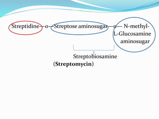 Streptidine—o—Streptose aminosugar—o— N-methyl-
L-Glucosamine
aminosugar
Streptobiosamine
(Streptomycin)
 