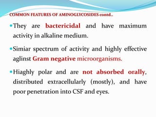 COMMON FEATURES OF AMINOGLYCOSIDES contd..
They are bactericidal and have maximum
activity in alkaline medium.
Simiar spectrum of activity and highly effective
aglinst Gram negative microorganisms.
Hiaghly polar and are not absorbed orally,
distributed extracellularly (mostly), and have
poor penetration into CSF and eyes.
 