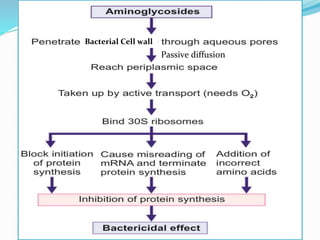 Passive diffusion
Bacterial Cell wall
 