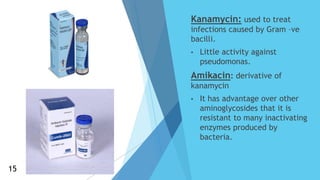 Kanamycin: used to treat
infections caused by Gram –ve
bacilli.
• Little activity against
pseudomonas.
Amikacin: derivative of
kanamycin
• It has advantage over other
aminoglycosides that it is
resistant to many inactivating
enzymes produced by
bacteria.
15
15
 