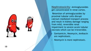 Nephrotoxicity: Aminoglycosides
get concentrated in renal cortex.
Retention of aminoglycosides by
proximal tubular cells disrupt
calcium mediated transport process
and result in kidney damage ranging
from mild, reversible renal
impairment to severe acute tubular
necrosis which can be irreversible.
• Gentamicin, Neomycin, Amikacin
are nephrotoxic.
• Neomycin is more nephrotoxic.
19
19
 
