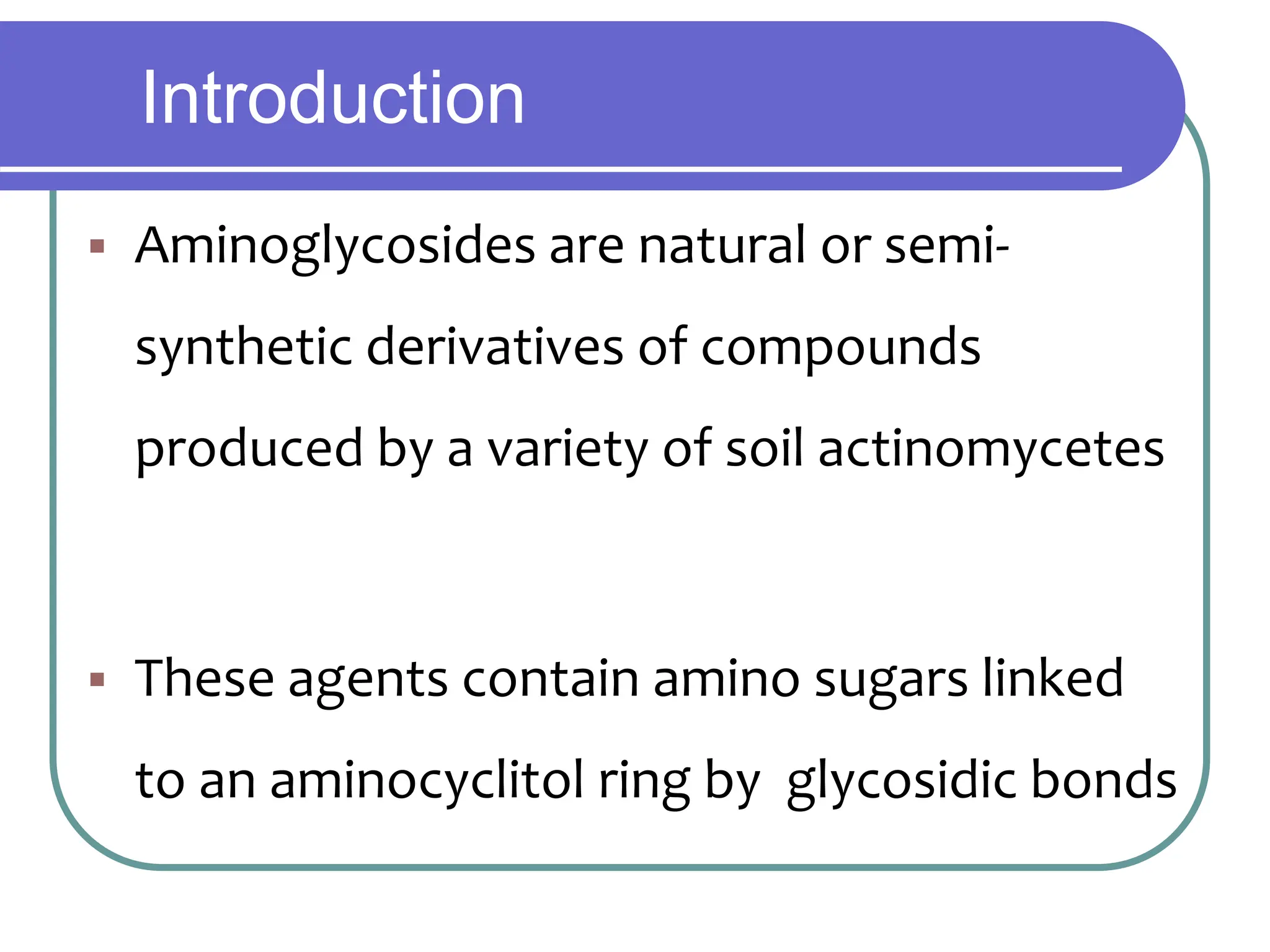 Aminoglycosides new.ppt | Pharmaceutical Drugs | Medical Health
