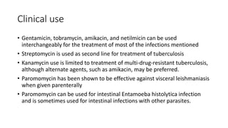 Ss Pectan Aminoglycosides & Spectinomycin.pptx