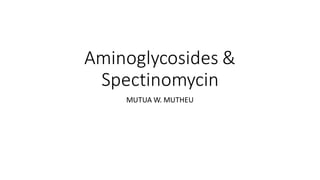 Aminoglycosides &
Spectinomycin
MUTUA W. MUTHEU
 