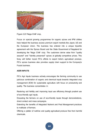 64
Figure 2.23 'Naga Chilli' crop.
Focus on special growing programmes for organic spices and IPM chillies
have helped the business access premium export markets like Japan, US and
the European Union. The business has entered into a unique tripartite
agreement with the Spices Board and the State Government of Nagaland for
developing the 'Naga Chilli' crop. The customers derive value from "quality
assured" and "identity preserved" spices at globally competitive prices. This
foray will further boost ITC's efforts to export India's agricultural produce.
ITC's spices business also provides supply chain support to the Company's
Foods business.
AGRI INPUTS
ITC's Agri Inputs business actively encourages the farming community to use
judicious combination of organic and chemical inputs towards integrated crop
management (ICM) for sustainable agriculture with focus on productivity and
quality. The business concentrates in:
 Restoring soil fertility and improving input use efficiency through prudent use
of eco-friendly agri inputs.
 Educating the farmers on use of eco-friendly inputs through demonstrations,
direct contact and mass campaigns.
 Extending the benefits of Integrated Nutrient and Pest Management practices
to multitude of farmers.
 Offering a platter of nutritive and quality agricultural produce free from harmful
chemicals.
 